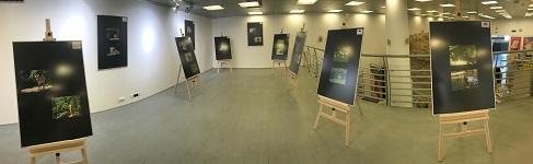 Ukázka výstavy na galerii srpen 2018