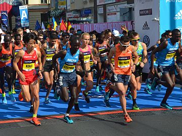 Půlmaraton ozdobily hodnotné sportovní výkony