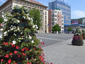 Centrum města zdobí další květiny
