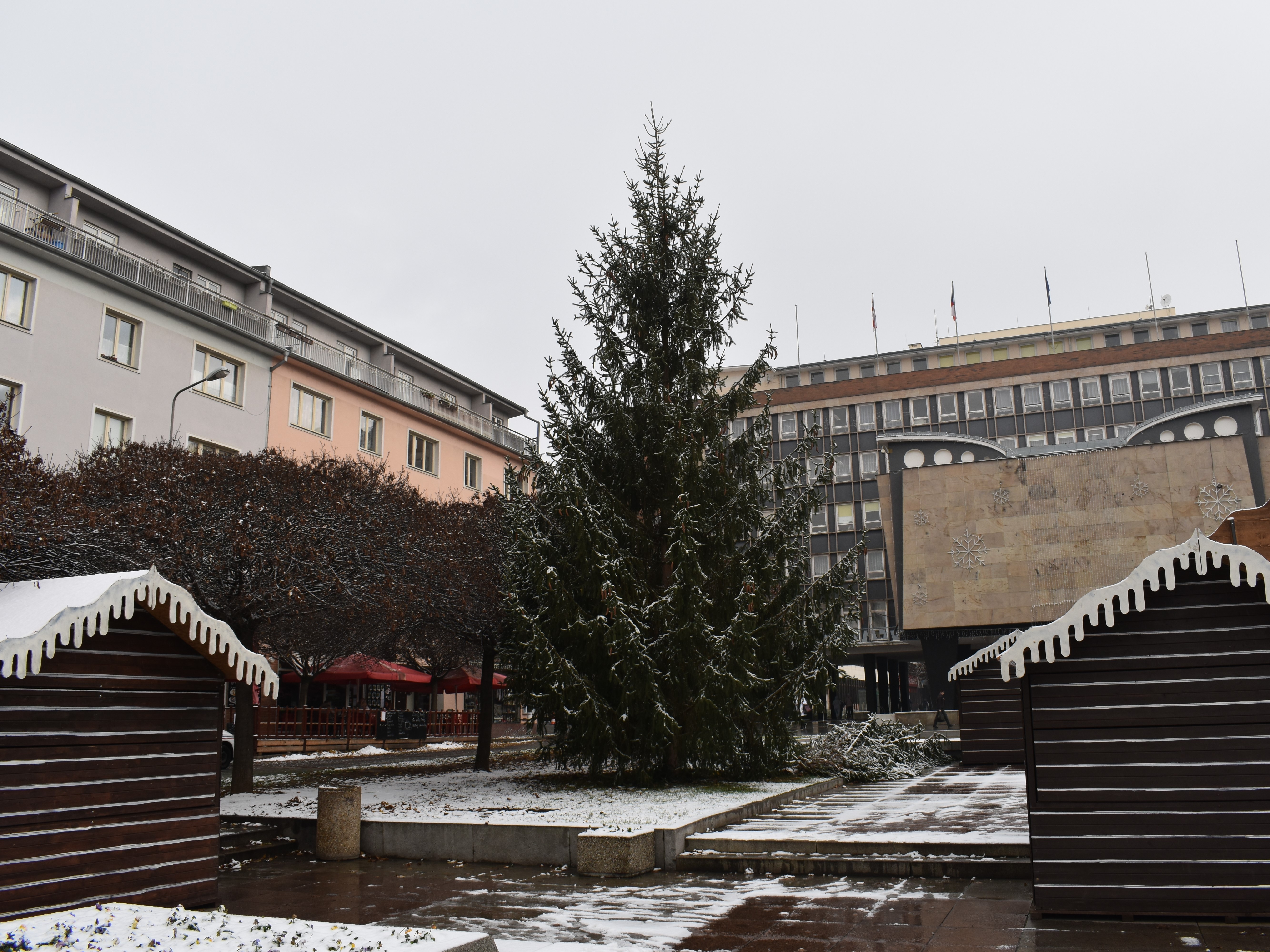 Vánoční stromy byly usazeny na Lidické a Mírové náměstí