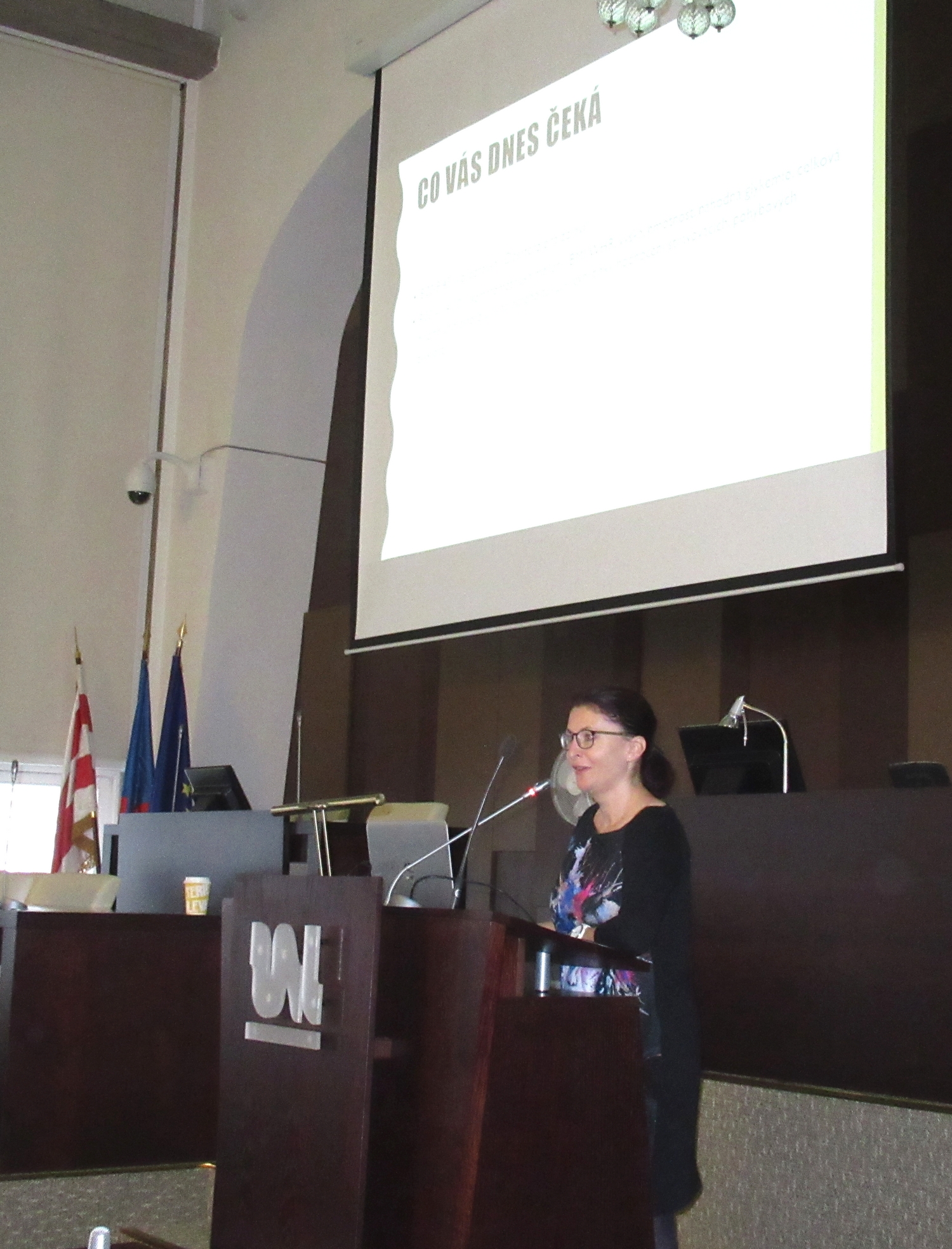 Mgr. Anna Milerová ze Zdravotního ústavu přednáší o zdraví