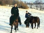 Projíždka na koních v zimě.