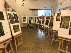 Ukázka výstavy v přízemí duben 2019